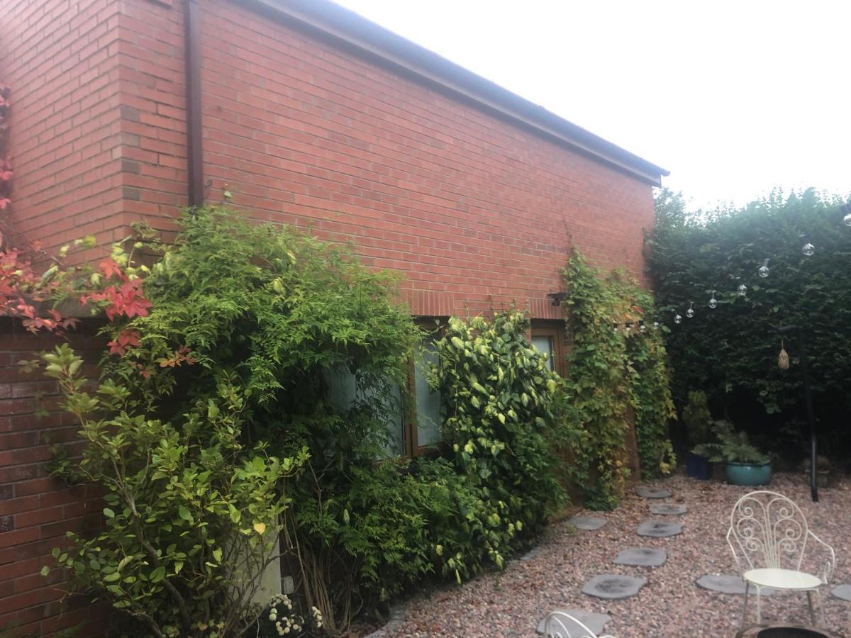 Self Contained Coach House In Leafy South The Location Is Not Accurate Belfast
